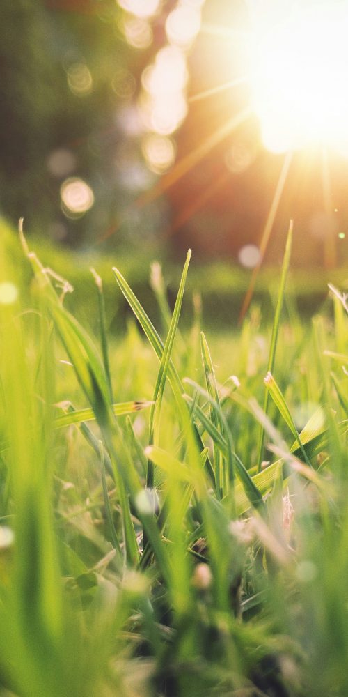 Spring Newsletter