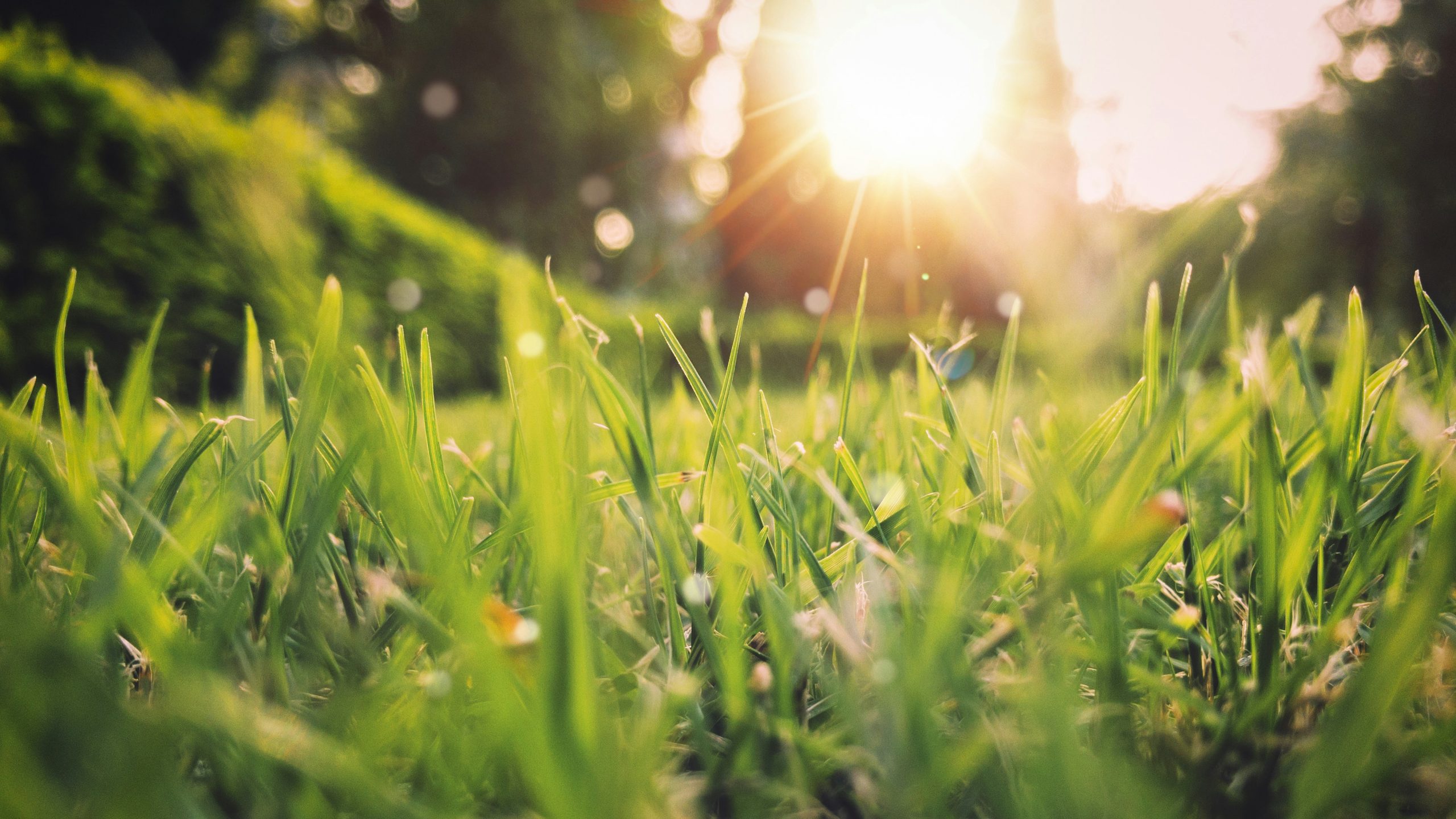 Spring Newsletter